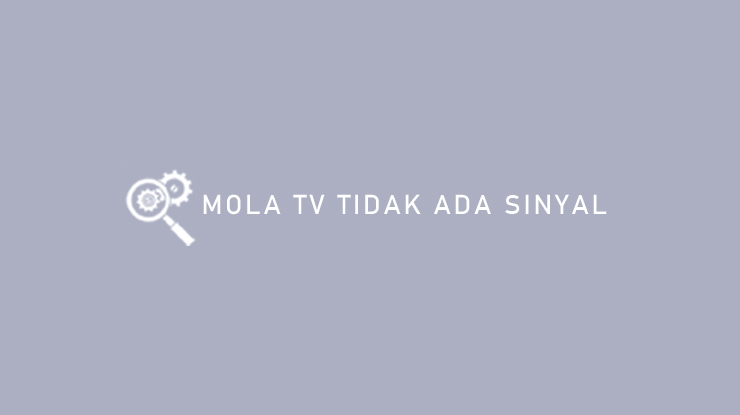 Mola TV Tidak Ada Sinyal