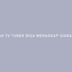 APAKAH TV TUNER BISA MENANGKAP SIARAN DIGITAL