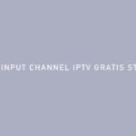 CARA INPUT CHANNEL IPTV GRATIS STB DVB T2